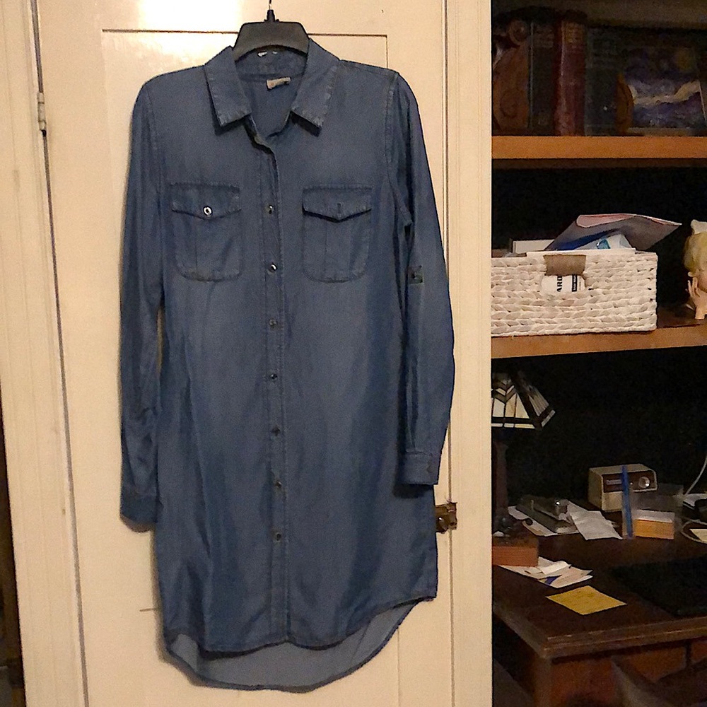 Cremieux dress